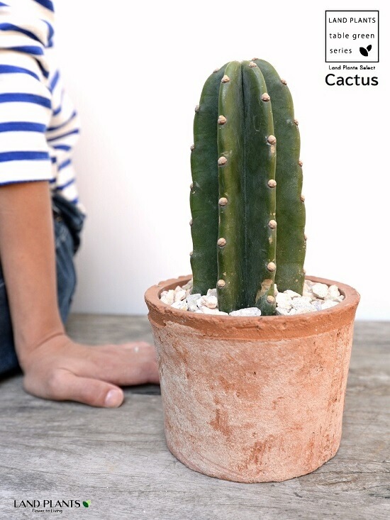 <br>���ܥƥ���쥵�ܥƥ�1��Ω���� �㿧 �⥹�ݥå� ���������� ƫ��ȭ��ŷ�����С� <br>1F �쥵�ܥƥ� ¿����ʪ �ȥ��ʥ����ܥƥ� ���ʤ����ܥƥ� ��������<br>ȭ���� ȭ �Ǿ� �ƥ饳�å� <br>�� �֥饦�� �� �ݷ� <br>���տ�ʪ ��ʪ ����̵��