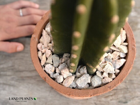 <br>���ܥƥ���쥵�ܥƥ�1��Ω���� �㿧 �⥹�ݥå� ���������� ƫ��ȭ��ŷ�����С� <br>1F �쥵�ܥƥ� ¿����ʪ �ȥ��ʥ����ܥƥ� ���ʤ����ܥƥ� ��������<br>ȭ���� ȭ �Ǿ� �ƥ饳�å� <br>�� �֥饦�� �� �ݷ� <br>���տ�ʪ ��ʪ ����̵��
