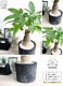 <br><br>�ѥ���ʴ��������ס� ���� �⥹�ݥå� ���������� �ƥ饳�å� <br>�����ѥ��� �������ƥ��� ȯ��� ������� ��������߽Ф��� <br>ȭ���� ȭ �� ���� ���տ�ʪ �� �֥�å� �� �饦��� <br>ƫ�� ƫ��ȭ �Ǿ� �Ǿ�ȭ ����̵��