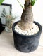 <br><br>�ѥ���ʴ��������ס� ���� �⥹�ݥå� ���������� �ƥ饳�å� <br>�����ѥ��� �������ƥ��� ȯ��� ������� ��������߽Ф��� <br>ȭ���� ȭ �� ���� ���տ�ʪ �� �֥�å� �� �饦��� <br>ƫ�� ƫ��ȭ �Ǿ� �Ǿ�ȭ ����̵��