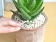 <br><br>������������롧�ե䥸�祦�� �㿧 �⥹�ݥå� ���������� �ƥ饳�å������� �� <br>���ǰ�Ƥ륢���� <br>����ȭ�������������٥顡�Х륳�˥��ȡ��ġ����� ���տ�ʪ ����̵��