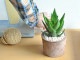<br><br>������������롧�ե䥸�祦�� �㿧 �⥹�ݥå� ���������� �ƥ饳�å������� �� <br>���ǰ�Ƥ륢���� <br>����ȭ�������������٥顡�Х륳�˥��ȡ��ġ����� ���տ�ʪ ����̵��