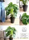 <br><br>��󥹥ƥ� ���� ���饢����ȭ 8��ʥС������åס� <br>ȭ���� ȭ ƫ�� �ƥ饳�å� �Ǿ� <br>�� �֥�å� �饦��� �� <br>���տ�ʪ ���� �緿 ����̵��