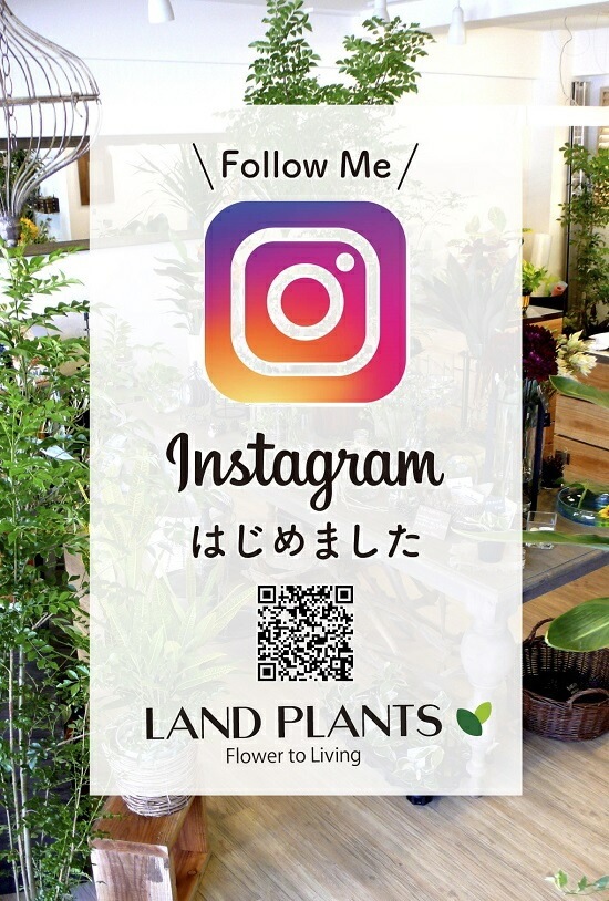 <br><br>�����ҡ����� ���� ��� ƫ��ȭ�ʲ������С� <br>���� coffee �����ҡ��Υ� ���� �� <br>���տ�ʪ ��ʪ ȭ���� ȭ ����̵�� <br>�� �֥�å� �� �ݷ� �饦��� �ܡ���