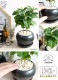 <br><br>�����ҡ����� ���� ��� ƫ��ȭ�ʲ������С� <br>���� coffee �����ҡ��Υ� ���� �� <br>���տ�ʪ ��ʪ ȭ���� ȭ ����̵�� <br>�� �֥�å� �� �ݷ� �饦��� �ܡ���