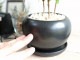 <br><br>�����ҡ����� ���� ��� ƫ��ȭ�ʲ������С� <br>���� coffee �����ҡ��Υ� ���� �� <br>���տ�ʪ ��ʪ ȭ���� ȭ ����̵�� <br>�� �֥�å� �� �ݷ� �饦��� �ܡ���