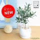 <br><br>���꡼�� �� �ݷ� ƫ��ȭ�ڲ������С�������������� <br>���꡼�֤��ڡ��ڼ����ѡۡ�<br>ȭ������ȭ���ġ����ڡ���ȭ��<br>�뺧����ξ�ƤؤΥץ쥼��ȡ��뺧���ε�ǰ�ʡ�ξ��£�襮�եȡ�ξ��£���ʡ������륫��ĥ꡼�����ե�