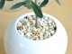 <br><br>���꡼�� �� �ݷ� ƫ��ȭ�ڲ������С�������������� <br>���꡼�֤��ڡ��ڼ����ѡۡ�<br>ȭ������ȭ���ġ����ڡ���ȭ��<br>�뺧����ξ�ƤؤΥץ쥼��ȡ��뺧���ε�ǰ�ʡ�ξ��£�襮�եȡ�ξ��£���ʡ������륫��ĥ꡼�����ե�