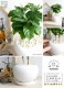 <br><br>�����ҡ����� �� ��� ƫ��ȭ�ʲ������С� <br>���� coffee �����ҡ��Υ� ���� �� <br>���տ�ʪ ��ʪ ȭ���� ȭ ����̵�� <br>�� �ۥ磻�� �� �ݷ� �饦��� �ܡ���