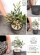 <br>���꡼�� ���� �⥹�ݥå� ���������� ƫ��ȭ��ŷ�����С�������� <br>���꡼�֤��� ���꡼�� ��ʡ���� �������� <br>ȭ���� ȭ �Ǿ� �ƥ饳�å� <br>�� �֥�å� �� �ݷ� <br>���տ�ʪ ��ʪ ����̵�� �����������