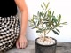 <br>���꡼�� ���� �⥹�ݥå� ���������� ƫ��ȭ��ŷ�����С�������� <br>���꡼�֤��� ���꡼�� ��ʡ���� �������� <br>ȭ���� ȭ �Ǿ� �ƥ饳�å� <br>�� �֥�å� �� �ݷ� <br>���տ�ʪ ��ʪ ����̵�� �����������