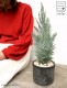 <br>���˥ե����ʥ����ʥꥹ�� �⥹�ݥå� ���������� ƫ��ȭ ������ŷ�����С� <br>�����ʥꥹ���饦�� �ҥΥ� ���ꥹ�ޥ��ĥ꡼ ����ܥ�ĥ꡼ <br>���ռ� ȭ���� ȭ �Ǿ� �ƥ饳�å� <br>�� �֥�å� �� �ݷ� <br>���տ�ʪ ��ʪ ����̵��
