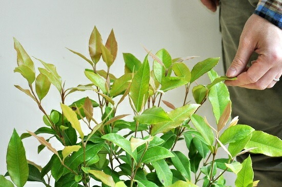 <br><br>NEW!!������ޡ��ȥ롡�ǥ�������ɤ��ƥ饳�å��Ρ����ȥ顼�롡<br>�ƥ饳�å�ȭ��������ޡ��ȥ����<br>���ġ����ڡ�����ޡ��ȥ�ϡ��֥ƥ���������ϡ��֡��󤻿����Х륳�˥��ȡ���Ϸ�������ݥ���Ⱦò������տ�ʪ