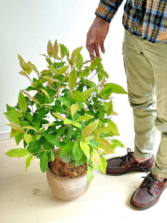 <br><br>NEW!!������ޡ��ȥ롡�ǥ�������ɤ��ƥ饳�å��Ρ����ȥ顼�롡<br>�ƥ饳�å�ȭ��������ޡ��ȥ����<br>���ġ����ڡ�����ޡ��ȥ�ϡ��֥ƥ���������ϡ��֡��󤻿����Х륳�˥��ȡ���Ϸ�������ݥ���Ⱦò������տ�ʪ