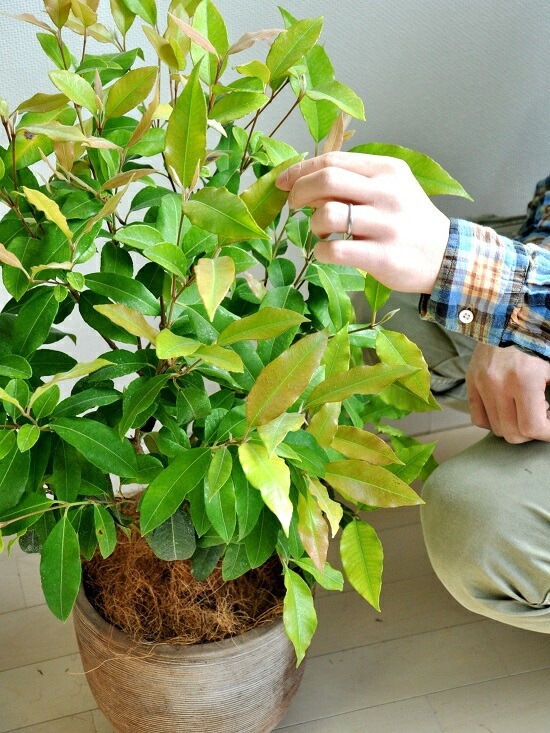 <br><br>NEW!!������ޡ��ȥ롡�ǥ�������ɤ��ƥ饳�å��Ρ����ȥ顼�롡<br>�ƥ饳�å�ȭ��������ޡ��ȥ����<br>���ġ����ڡ�����ޡ��ȥ�ϡ��֥ƥ���������ϡ��֡��󤻿����Х륳�˥��ȡ���Ϸ�������ݥ���Ⱦò������տ�ʪ