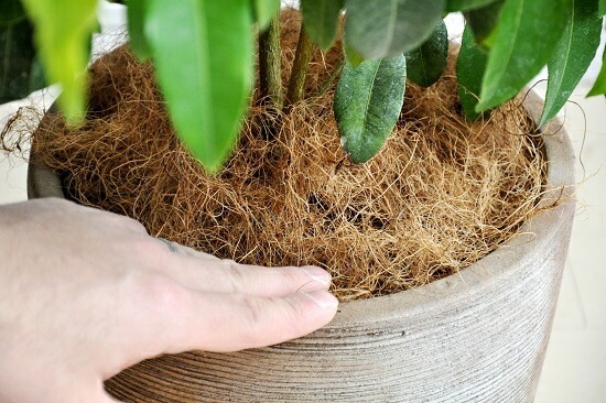 <br><br>NEW!!������ޡ��ȥ롡�ǥ�������ɤ��ƥ饳�å��Ρ����ȥ顼�롡<br>�ƥ饳�å�ȭ��������ޡ��ȥ����<br>���ġ����ڡ�����ޡ��ȥ�ϡ��֥ƥ���������ϡ��֡��󤻿����Х륳�˥��ȡ���Ϸ�������ݥ���Ⱦò������տ�ʪ