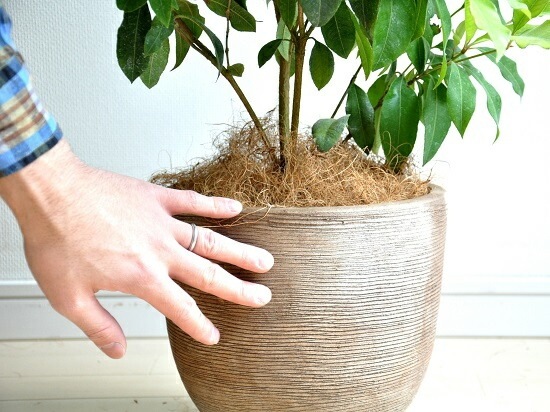 <br><br>NEW!!������ޡ��ȥ롡�ǥ�������ɤ��ƥ饳�å��Ρ����ȥ顼�롡<br>�ƥ饳�å�ȭ��������ޡ��ȥ����<br>���ġ����ڡ�����ޡ��ȥ�ϡ��֥ƥ���������ϡ��֡��󤻿����Х륳�˥��ȡ���Ϸ�������ݥ���Ⱦò������տ�ʪ