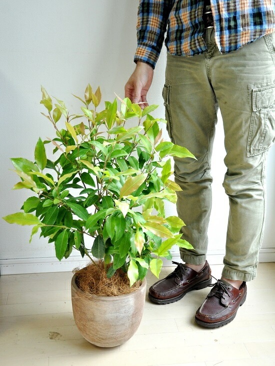 <br><br>NEW!!������ޡ��ȥ롡�ǥ�������ɤ��ƥ饳�å��Ρ����ȥ顼�롡<br>�ƥ饳�å�ȭ��������ޡ��ȥ����<br>���ġ����ڡ�����ޡ��ȥ�ϡ��֥ƥ���������ϡ��֡��󤻿����Х륳�˥��ȡ���Ϸ�������ݥ���Ⱦò������տ�ʪ