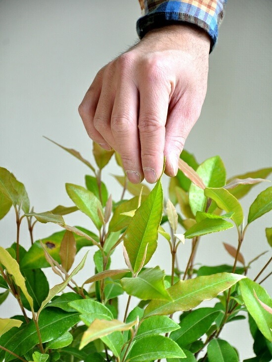 <br><br>NEW!!������ޡ��ȥ롡�ǥ�������ɤ��ƥ饳�å��Ρ����ȥ顼�롡<br>�ƥ饳�å�ȭ��������ޡ��ȥ����<br>���ġ����ڡ�����ޡ��ȥ�ϡ��֥ƥ���������ϡ��֡��󤻿����Х륳�˥��ȡ���Ϸ�������ݥ���Ⱦò������տ�ʪ