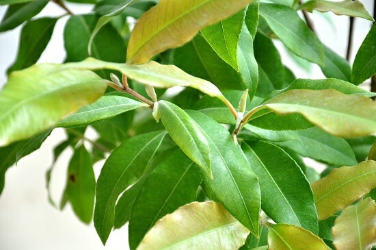 <br><br>NEW!!������ޡ��ȥ롡�ǥ�������ɤ��ƥ饳�å��Ρ����ȥ顼�롡<br>�ƥ饳�å�ȭ��������ޡ��ȥ����<br>���ġ����ڡ�����ޡ��ȥ�ϡ��֥ƥ���������ϡ��֡��󤻿����Х륳�˥��ȡ���Ϸ�������ݥ���Ⱦò������տ�ʪ