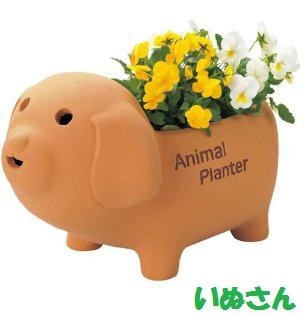 <br><br>�� ����ȭ ��SALE�����٤����� Animal��terracotta��ưʪ���Ρ��ȤƤ�İ������ƥ饳�å������極��������Ϸ�������ݥ���Ⱦò������տ�ʪ