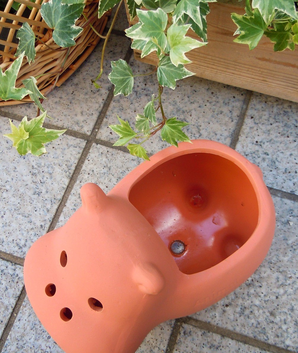 <br><br>�� ����ȭ ��SALE�����٤����� Animal��terracotta��ưʪ���Ρ��ȤƤ�İ������ƥ饳�å������極��������Ϸ�������ݥ���Ⱦò������տ�ʪ