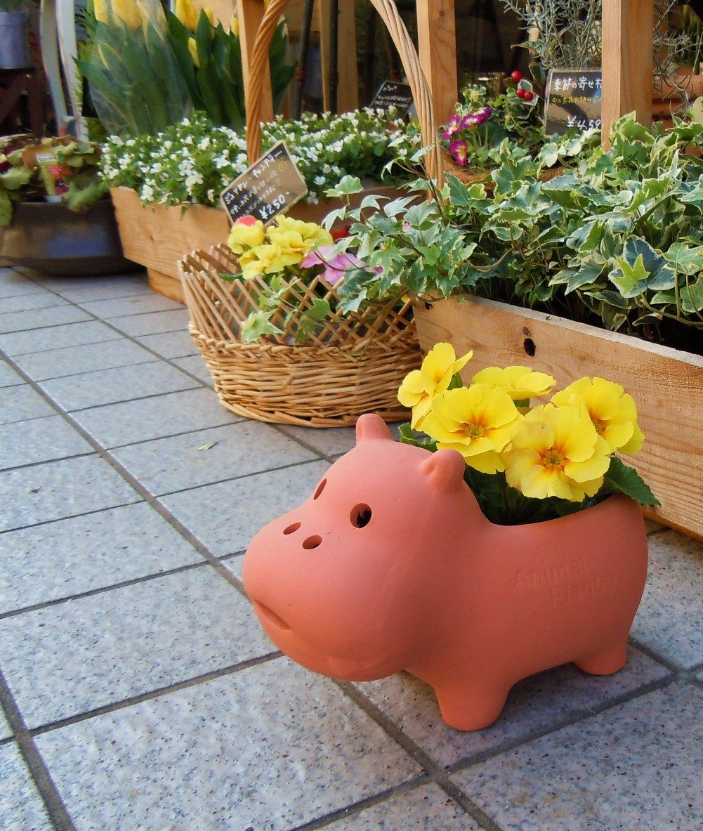 <br><br>�� ����ȭ ��SALE�����٤����� Animal��terracotta��ưʪ���Ρ��ȤƤ�İ������ƥ饳�å������極��������Ϸ�������ݥ���Ⱦò������տ�ʪ