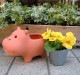 <br><br>�� ����ȭ ��SALE�����٤����� Animal��terracotta��ưʪ���Ρ��ȤƤ�İ������ƥ饳�å������極��������Ϸ�������ݥ���Ⱦò������տ�ʪ