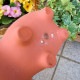 <br><br>�� ����ȭ ��SALE�����٤����� Animal��terracotta��ưʪ���Ρ��ȤƤ�İ������ƥ饳�å������極��������Ϸ�������ݥ���Ⱦò������տ�ʪ