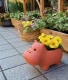 <br><br>�� ����ȭ ��SALE�����٤����� Animal��terracotta��ưʪ���Ρ��ȤƤ�İ������ƥ饳�å������極��������Ϸ�������ݥ���Ⱦò������տ�ʪ