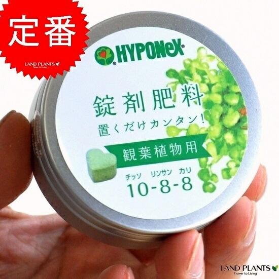 <br><br>��������HYPONeX���������������տ�ʪ�ѡ�ȭ�ξ���֤���������NET��70g����Ϸ�������ݥ���Ⱦò������տ�ʪ