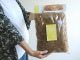 <br><br>�� ���տ�ʪ ���Ѻ� �ۡ��䥷���ݡ������ե����С���100�硡�����䥷�ե����С�����Ϸ�������ݥ���Ⱦò������տ�ʪ