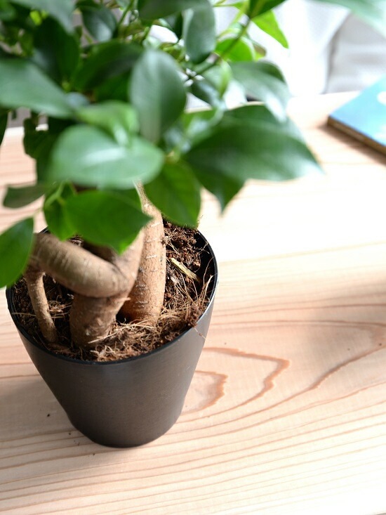 ������ޥ� �ʴ����� ���� �ץ饹���å�ȭ 4�� <br>ȭ���� ȭ �� ���� ���տ�ʪ <br>�� �֥�å� �� �饦��� ����̵��