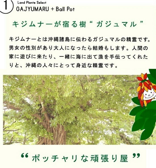 ������ޥ� �ʴ����� ���� �ץ饹���å�ȭ 4�� <br>ȭ���� ȭ �� ���� ���տ�ʪ <br>�� �֥�å� �� �饦��� ����̵��