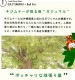 ������ޥ� �ʴ����� ���� �ץ饹���å�ȭ 4�� <br>ȭ���� ȭ �� ���� ���տ�ʪ <br>�� �֥�å� �� �饦��� ����̵��