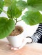 <br><br>�ڤ���� ����٥顼�� �� �ץ饹���å�ȭ 4�� <br>(��) ��奵���� ȭ���� ȭ �� ���� ���տ�ʪ <br>�� �ۥ磻�� ��