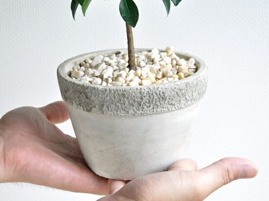 <br><br>�ե������ʥʥʡ� �����ͤΥ����ȥݥå� M������ ƫ��ȭ <br>���ȥԥ��꡼��Ω�ơ��٥󥸥�ߥ󡡥ʥ�<br>�ڳڥ���_�Τ��ۡڳڥ���_�Τ�����ۡڳڥ���_��å��ۡڳڥ���_��å����ϡۥ٥󥸥�ߥʡ��ե������ʥʡ����ࡡ������ڡ�nana������Υ�