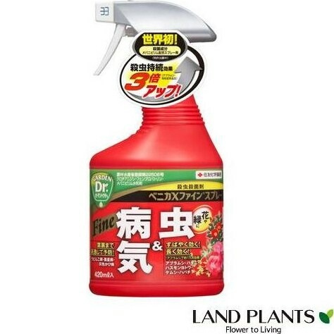<br><br>���ޥ�����λ���ޡ��٥˥�X �ե����󥹥ץ졼(420mL)��<br>�ϥޥ��ॷ �ϥޥ������մ��� ���饬������ɥ�������Ϸ�������ݥ���Ⱦò������տ�ʪ