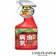 <br><br>���ޥ�����λ���ޡ��٥˥�X �ե����󥹥ץ졼(420mL)��<br>�ϥޥ��ॷ �ϥޥ������մ��� ���饬������ɥ�������Ϸ�������ݥ���Ⱦò������տ�ʪ