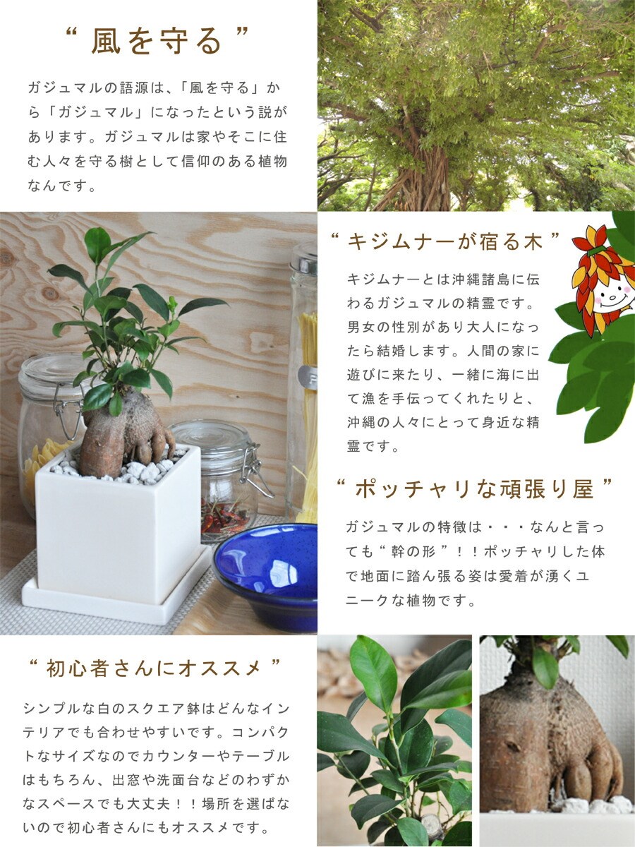 <br><br>������ޥ�ʴ��������ס� �� ���塼�ַ� ƫ��ȭ S��������ŷ�����С�������������� <br>������ޤ�μ����ۥ磻�ȡ�ƫ��ȭ������ȭ���ͳѡ��������������ͻ����˥󥸥󥬥���ޥ롡������ޥ���������ޥ롡�ݥ���Ⱦò������տ�ʪ