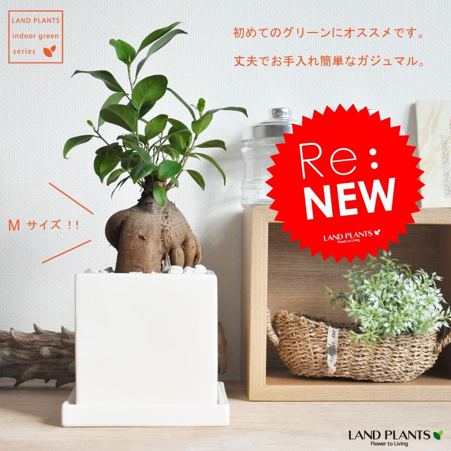 <br><br>������ޥ�ʴ��������ס� �� ���塼�ַ� ƫ��ȭ S��������ŷ�����С�������������� <br>������ޤ�μ����ۥ磻�ȡ�ƫ��ȭ������ȭ���ͳѡ��������������ͻ����˥󥸥󥬥���ޥ롡������ޥ���������ޥ롡�ݥ���Ⱦò������տ�ʪ
