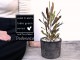 <br>�ڹ��ռ��� �ɥɥʥ����ʥץ�ץ쥢�� ���� �⥹�ݥå� ���������� ƫ��ȭ��ŷ�����С�<br> �������ȥ�ꥢ�ץ��� ���������ץ��� <br>���ռ� ȭ���� ȭ �Ǿ� �ƥ饳�å� <br>�� �֥�å� �� �ݷ� <br>���տ�ʪ ��ʪ ����̵��
