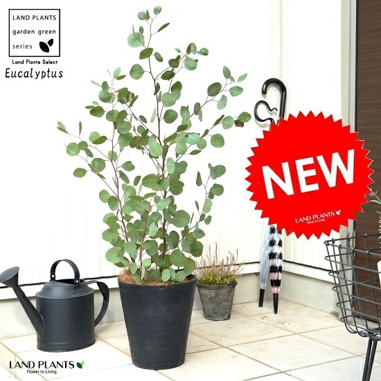 <br><br>�桼���� �ݥݥ饹 �ʹ�����8�� ���饢���� ȭ���� <br>�緿 �ݥꥢ�󥻥⥹ �桼������� �桼����ץ��� �եȥ�� <br>ȭ �� ���� �� �֥�å� �� �ϡ��Ȥ��� ���տ�ʪ ���饫�ͥ桼����