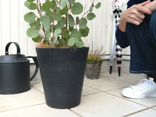 <br><br>�桼���� �ݥݥ饹 �ʹ�����8�� ���饢���� ȭ���� <br>�緿 �ݥꥢ�󥻥⥹ �桼������� �桼����ץ��� �եȥ�� <br>ȭ �� ���� �� �֥�å� �� �ϡ��Ȥ��� ���տ�ʪ ���饫�ͥ桼����