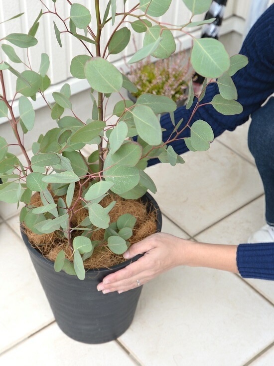 <br><br>�桼���� �ݥݥ饹 �ʹ�����8�� ���饢���� ȭ���� <br>�緿 �ݥꥢ�󥻥⥹ �桼������� �桼����ץ��� �եȥ�� <br>ȭ �� ���� �� �֥�å� �� �ϡ��Ȥ��� ���տ�ʪ ���饫�ͥ桼����