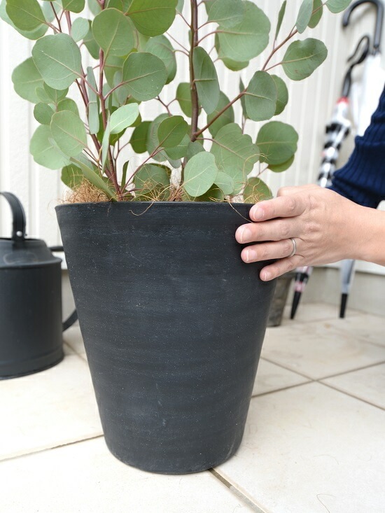 <br><br>�桼���� �ݥݥ饹 �ʹ�����8�� ���饢���� ȭ���� <br>�緿 �ݥꥢ�󥻥⥹ �桼������� �桼����ץ��� �եȥ�� <br>ȭ �� ���� �� �֥�å� �� �ϡ��Ȥ��� ���տ�ʪ ���饫�ͥ桼����