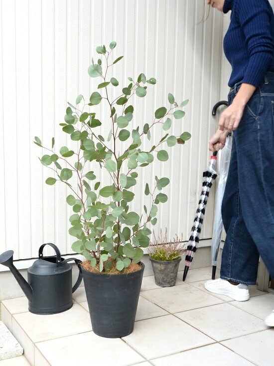 <br><br>�桼���� �ݥݥ饹 �ʹ�����8�� ���饢���� ȭ���� <br>�緿 �ݥꥢ�󥻥⥹ �桼������� �桼����ץ��� �եȥ�� <br>ȭ �� ���� �� �֥�å� �� �ϡ��Ȥ��� ���տ�ʪ ���饫�ͥ桼����