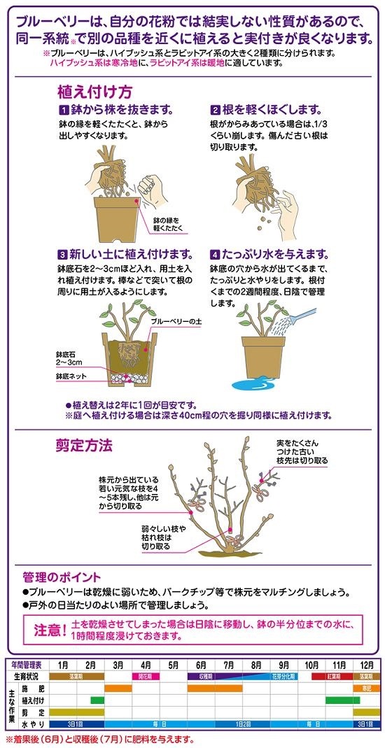 <br><br>�֥롼�٥꡼���ڡ���L�����Ϥ�ڤ���  �������ڥ��꡼����Hanagokoro Do!���֤���������Ϸ�������ݥ���Ⱦò������տ�ʪ