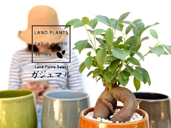 <br><br>��4���� ������ޥ�ʴ����� ����夭�Τ��� �饦��ɷ� ƫ��ȭ ��ȭ�����٤��<br>�ʲ������С�������������˹�ʡ��⤿�餹 ¿���μ� ���� ������ޤ���� <br>ȭ���� ȭ �� ���� �� ���տ�ʪ