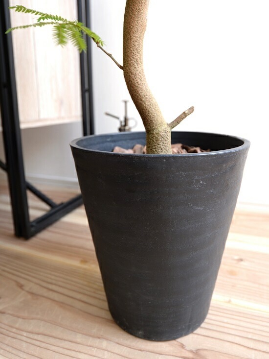 br><br>エバーフレッシュ ブラック セラアート鉢 8号 <br>鉢植え 鉢 苗 